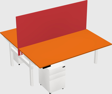 Shared electric desk
