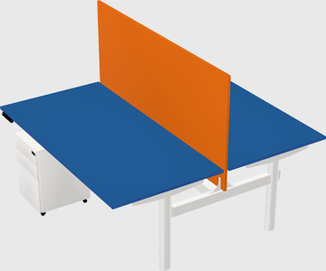 Shared electric desk