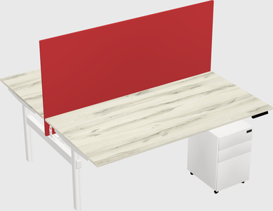 Shared electric desk