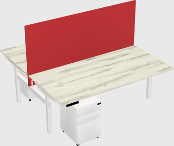 Shared electric desk