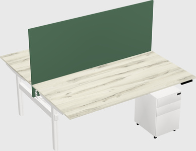 Shared electric desk