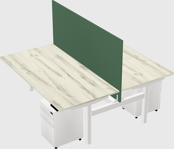 Shared electric desk