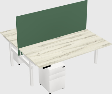 Shared electric desk