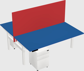 Shared electric desk