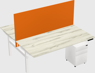 Shared electric desk
