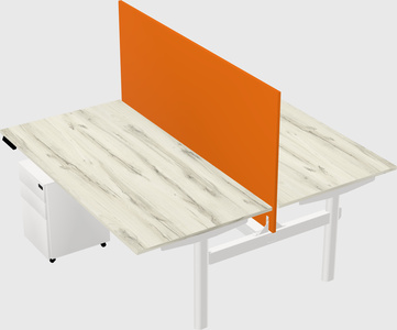 Shared electric desk
