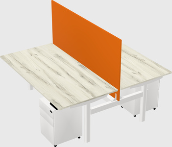 Shared electric desk