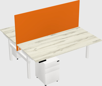 Shared electric desk