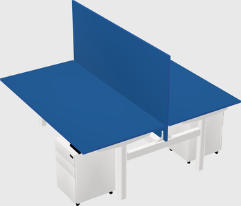 Shared electric desk