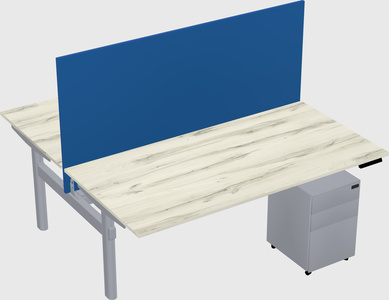 Shared electric desk