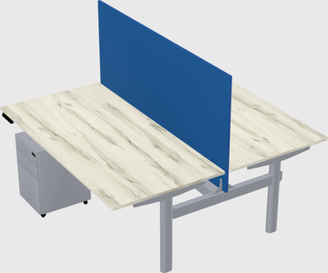 Shared electric desk