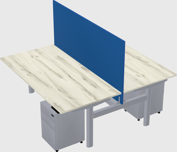 Shared electric desk