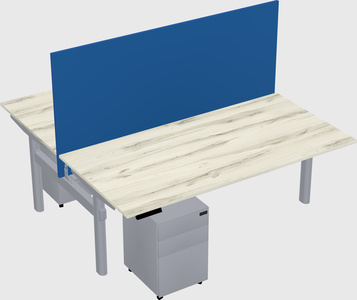 Shared electric desk