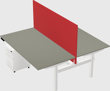 Shared electric desk