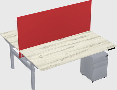 Shared electric desk