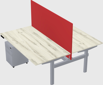 Shared electric desk