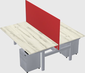 Shared electric desk