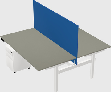Shared electric desk