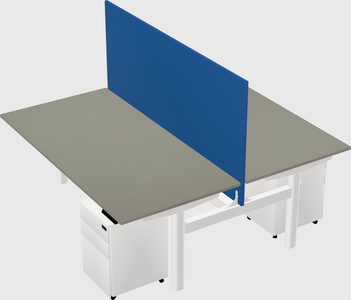 Shared electric desk
