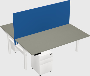 Shared electric desk