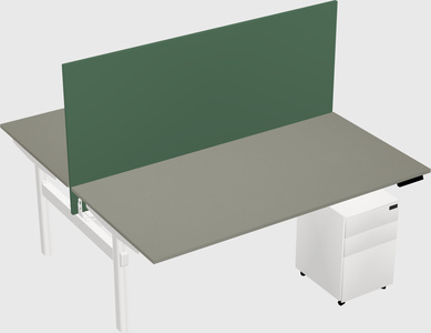 Shared electric desk