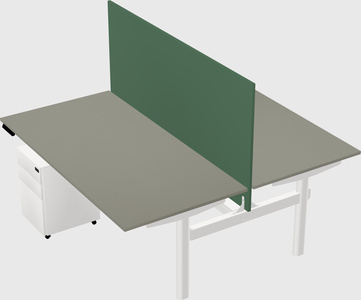 Shared electric desk