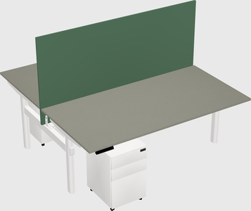Shared electric desk