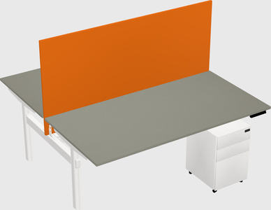 Shared electric desk
