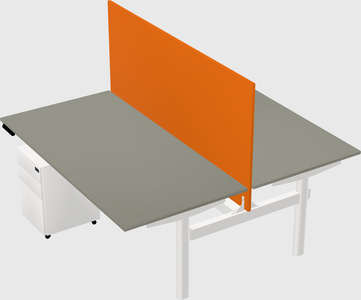Shared electric desk