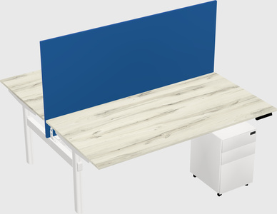 Shared electric desk