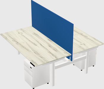 Shared electric desk