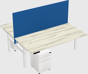 Shared electric desk