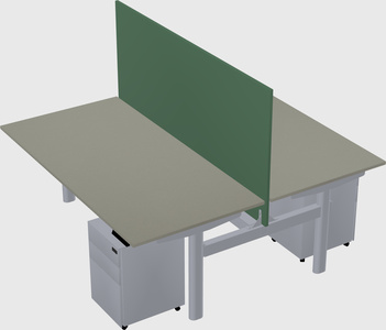 Shared electric desk