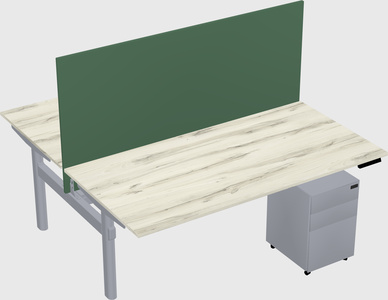 Shared electric desk