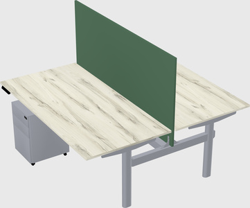 Shared electric desk