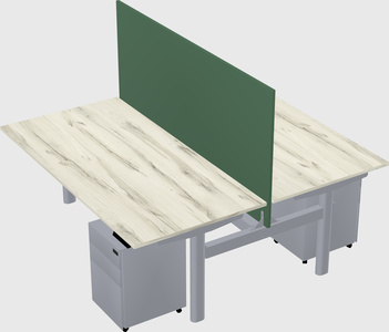 Shared electric desk