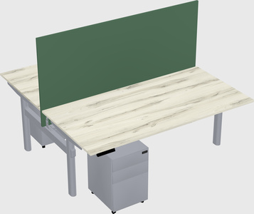 Shared electric desk