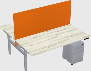 Shared electric desk