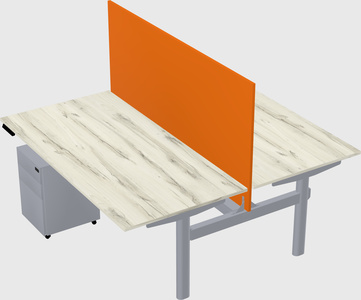 Shared electric desk