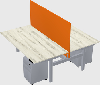 Shared electric desk