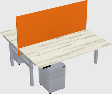 Shared electric desk