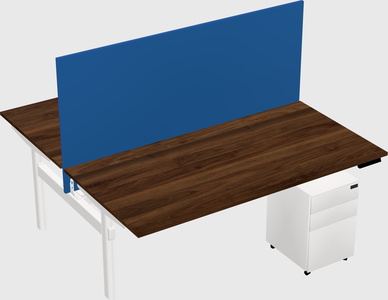 Shared electric desk