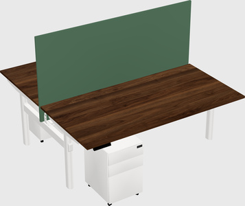 Shared electric desk