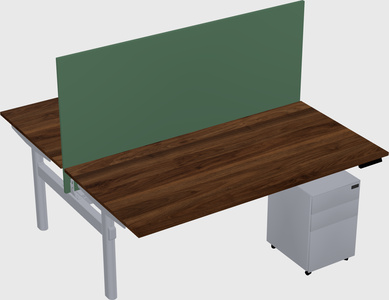Shared electric desk