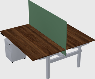 Shared electric desk