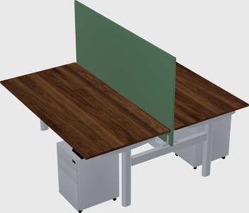 Shared electric desk