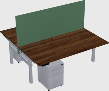 Shared electric desk
