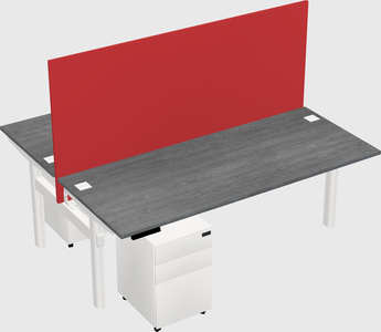 Shared electric desk