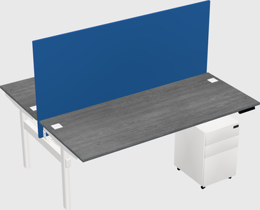 Shared electric desk