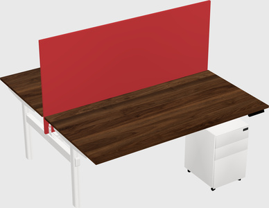 Shared electric desk